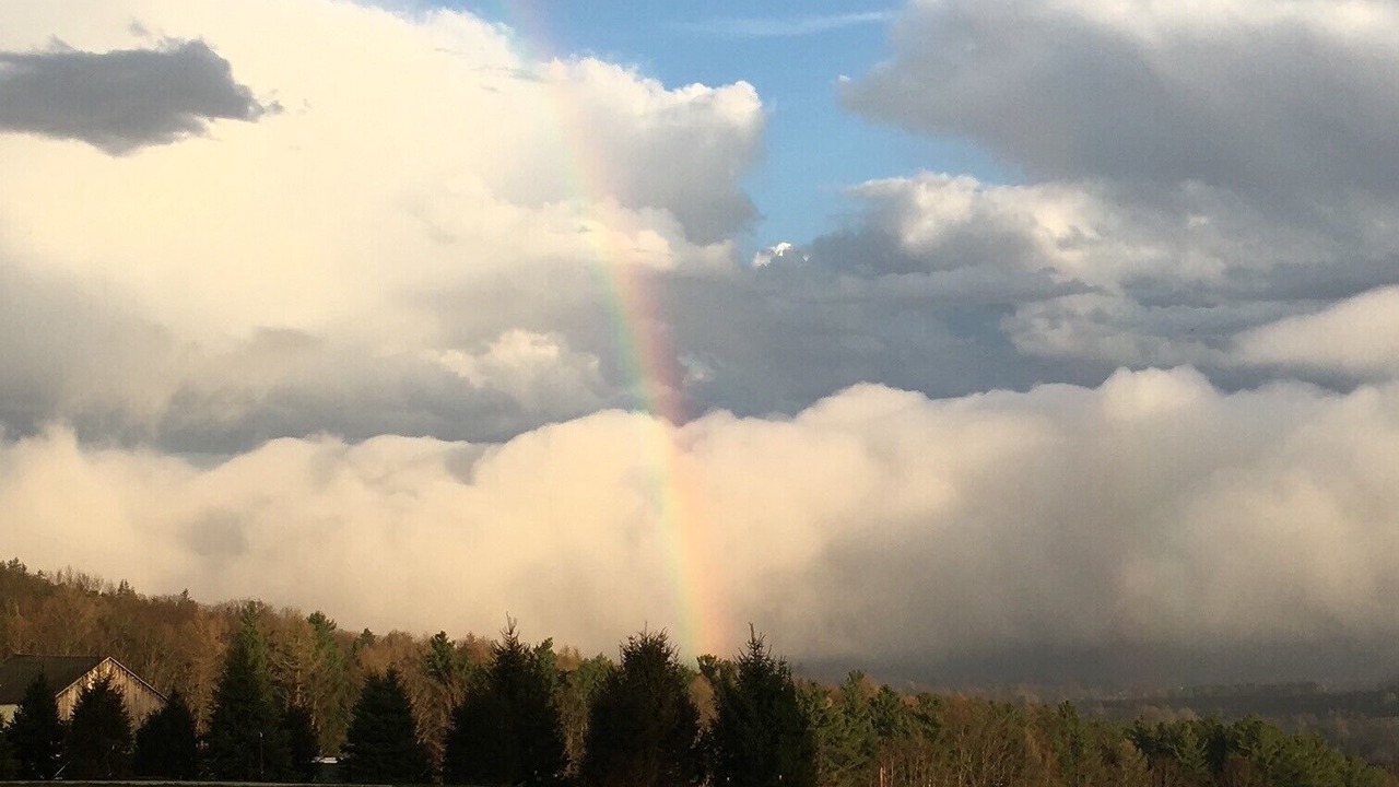Photo of Outdoor in Dansville