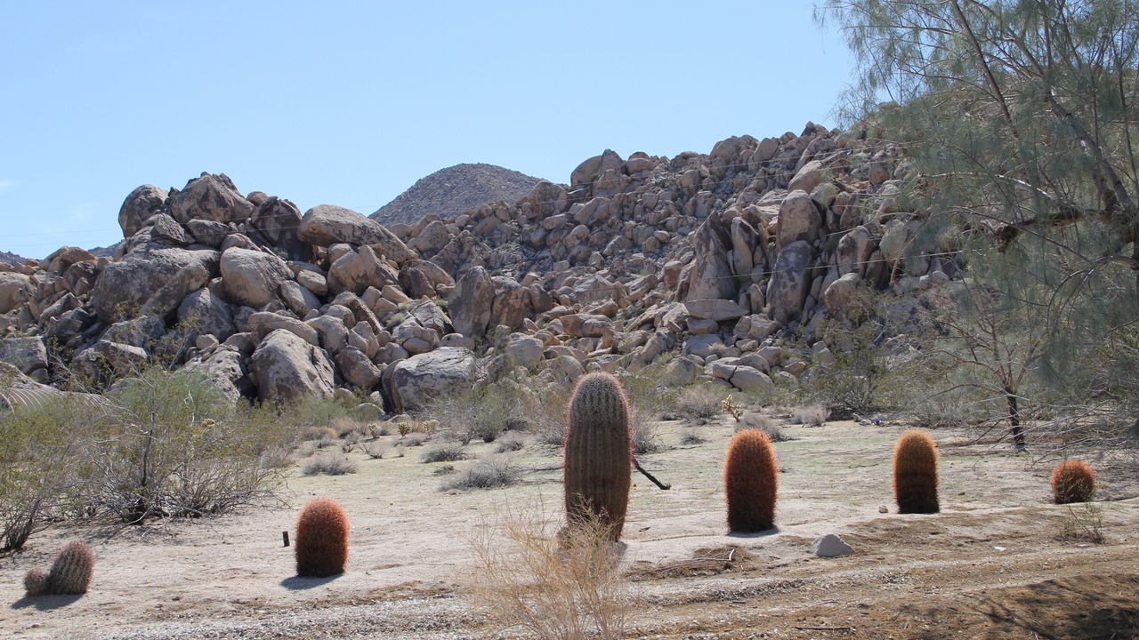 Photo of Others in Panorama Heights