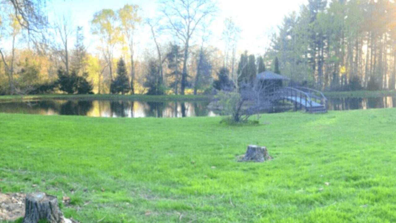 Photo of Outdoor in Westfield