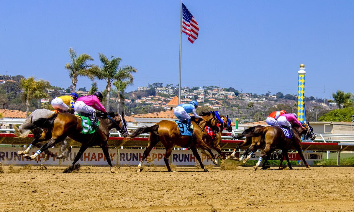 Photo of Others in Del Mar Heights