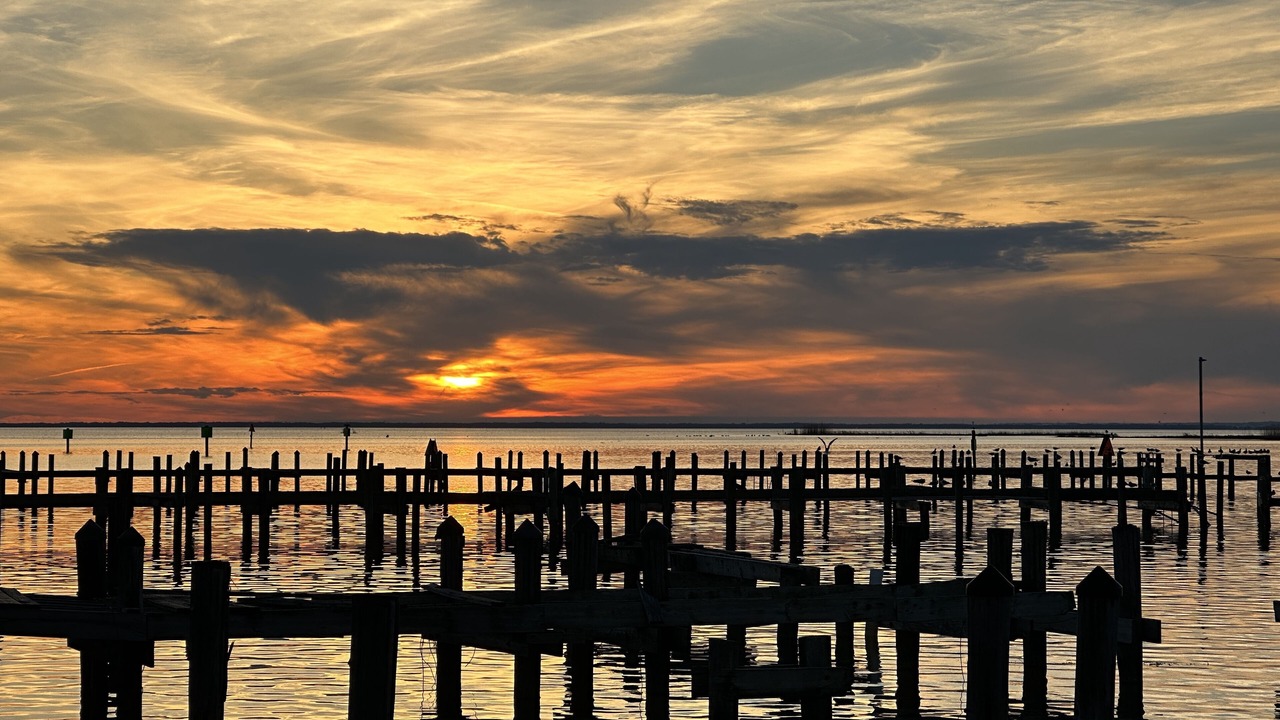 Photo of Others in Daphne