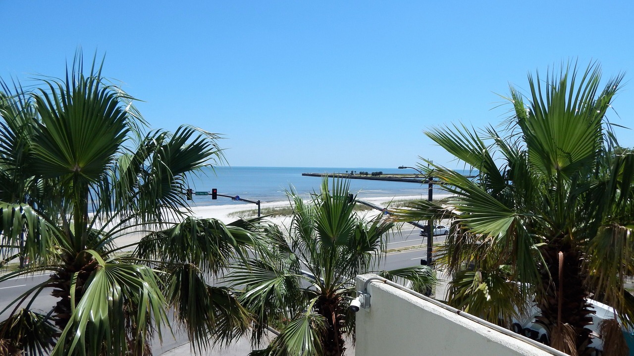 Photo of Others in Biloxi