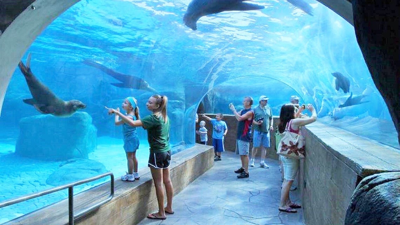 Photo of Others in Biloxi