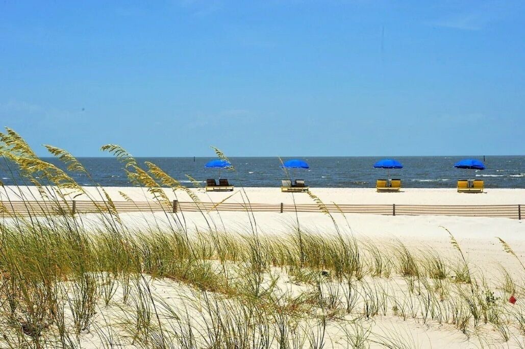 Photo of Others in Biloxi