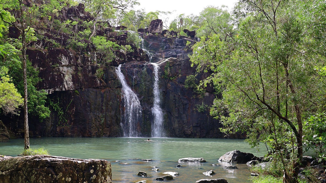Photo of Others in Cannonvale