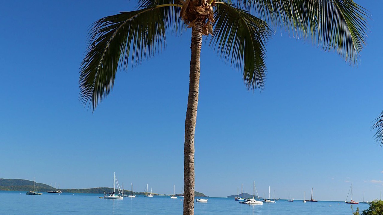 Photo of Others in Cannonvale