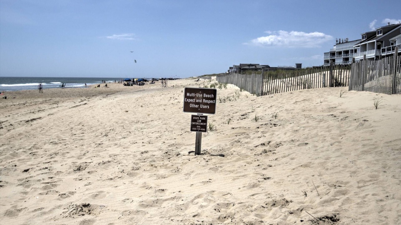Photo of Others in Fenwick Island