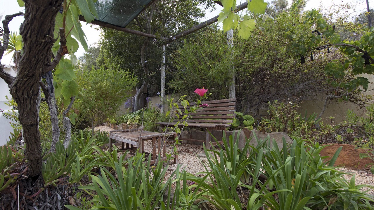 Photo of Outdoor in Funchal