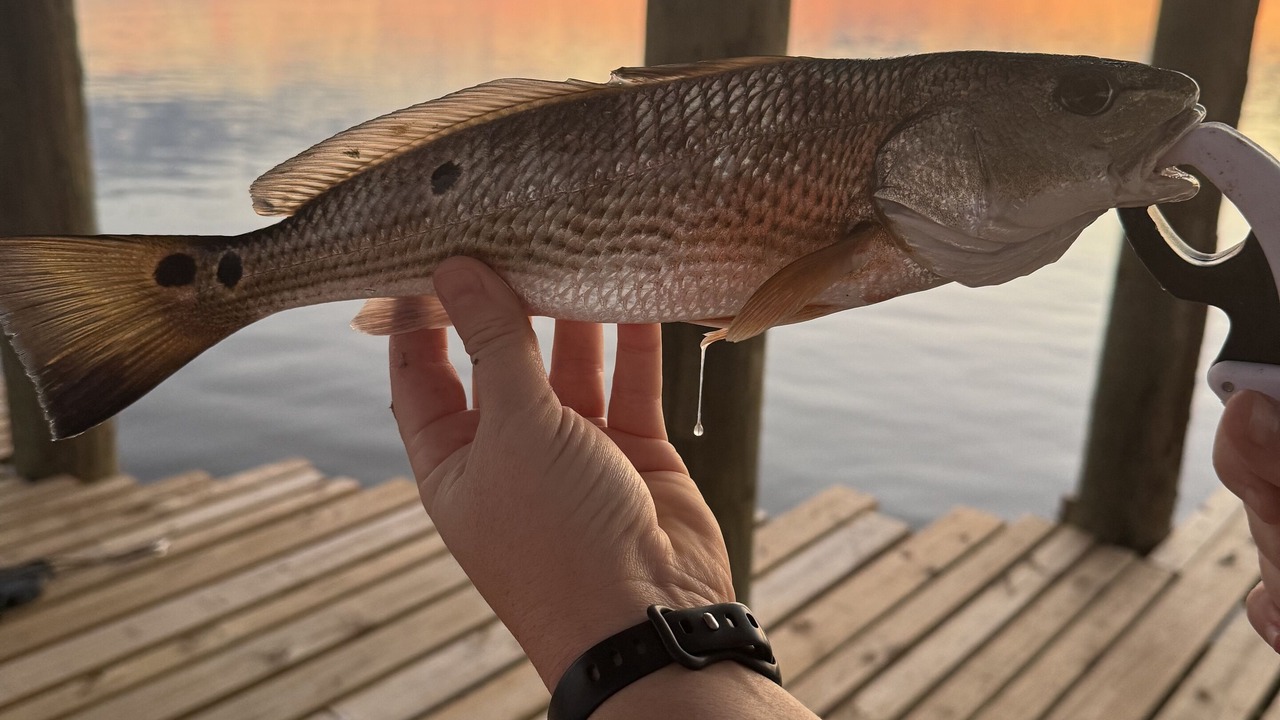 Photo of Outdoor in Florida Panhandle