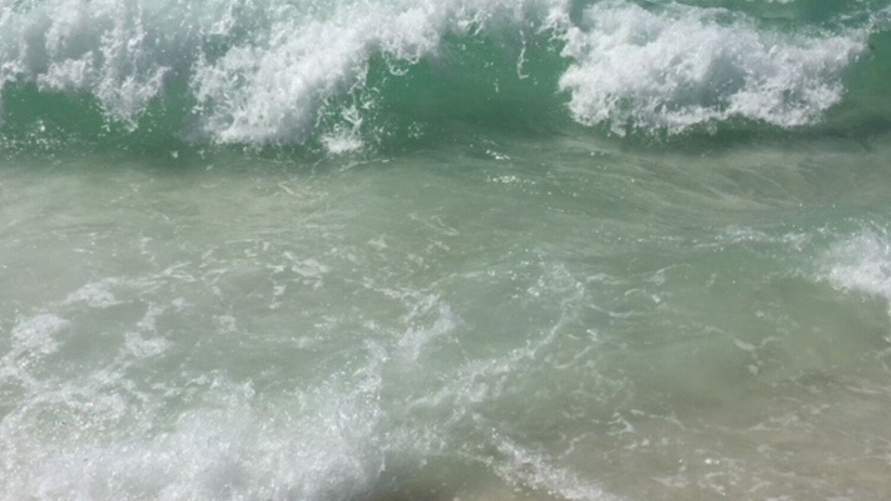Photo of Others in Gulf Breeze