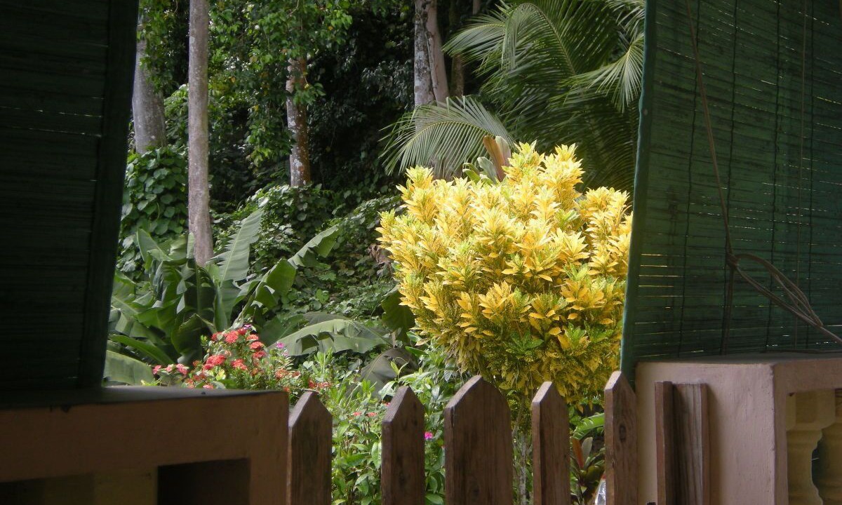 Photo of Outdoor in Anse Boileau