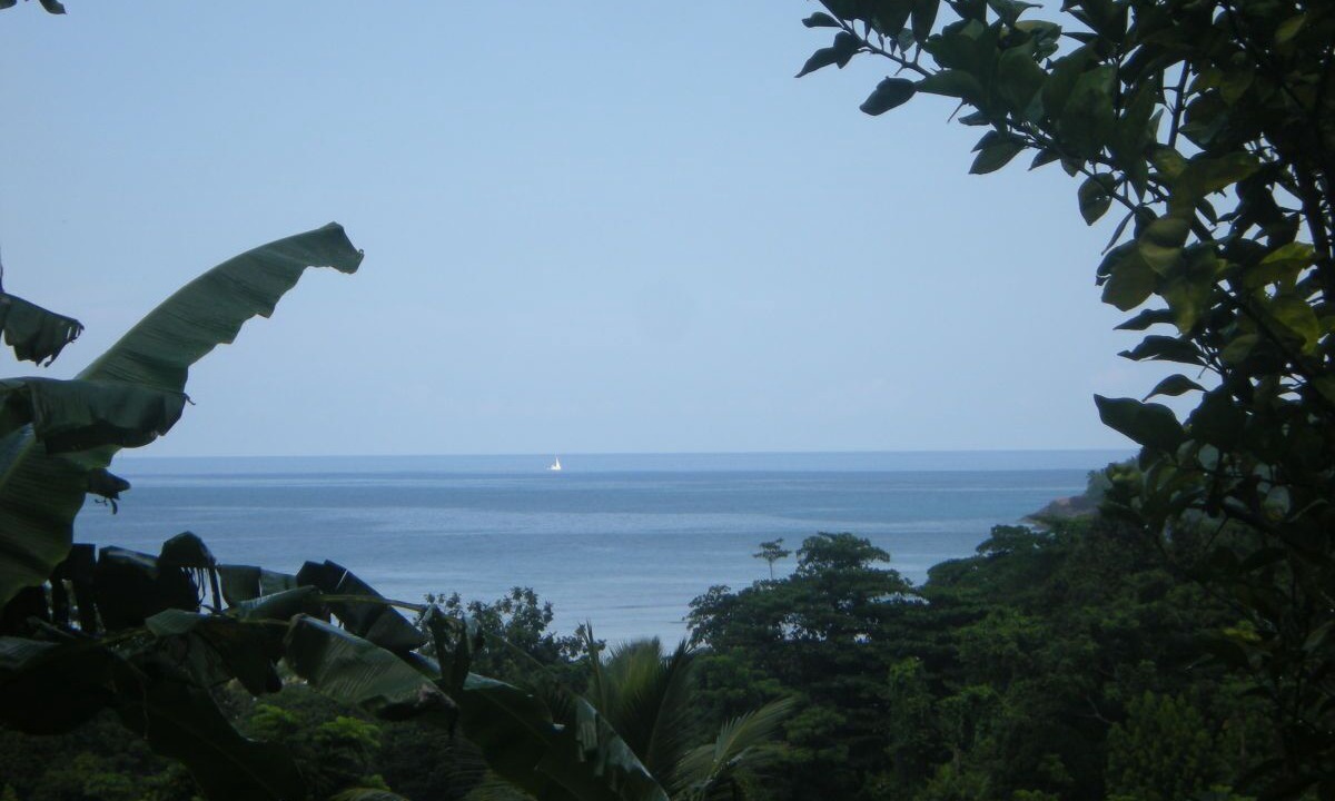 Photo of Others in Anse Boileau