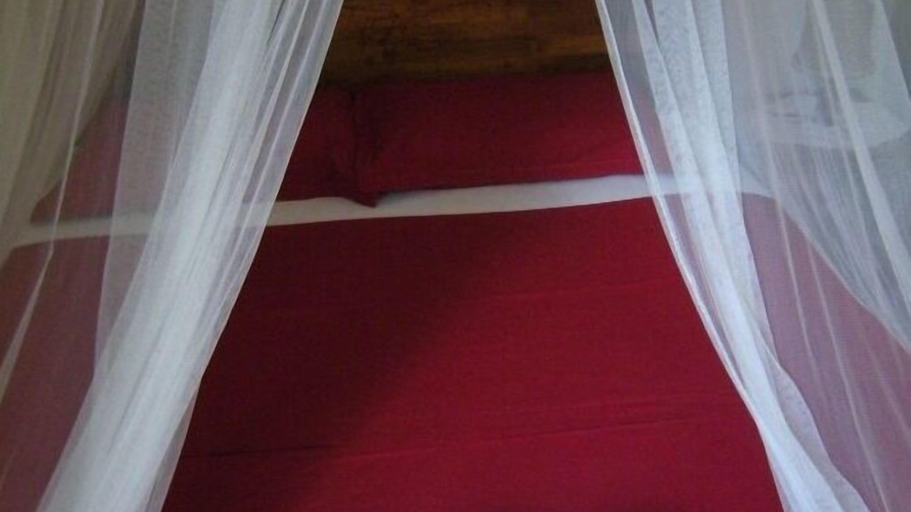 Photo of Bedroom in Anse Boileau