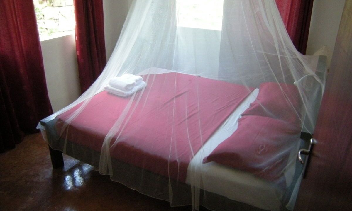 Photo of Bedroom in Anse Boileau