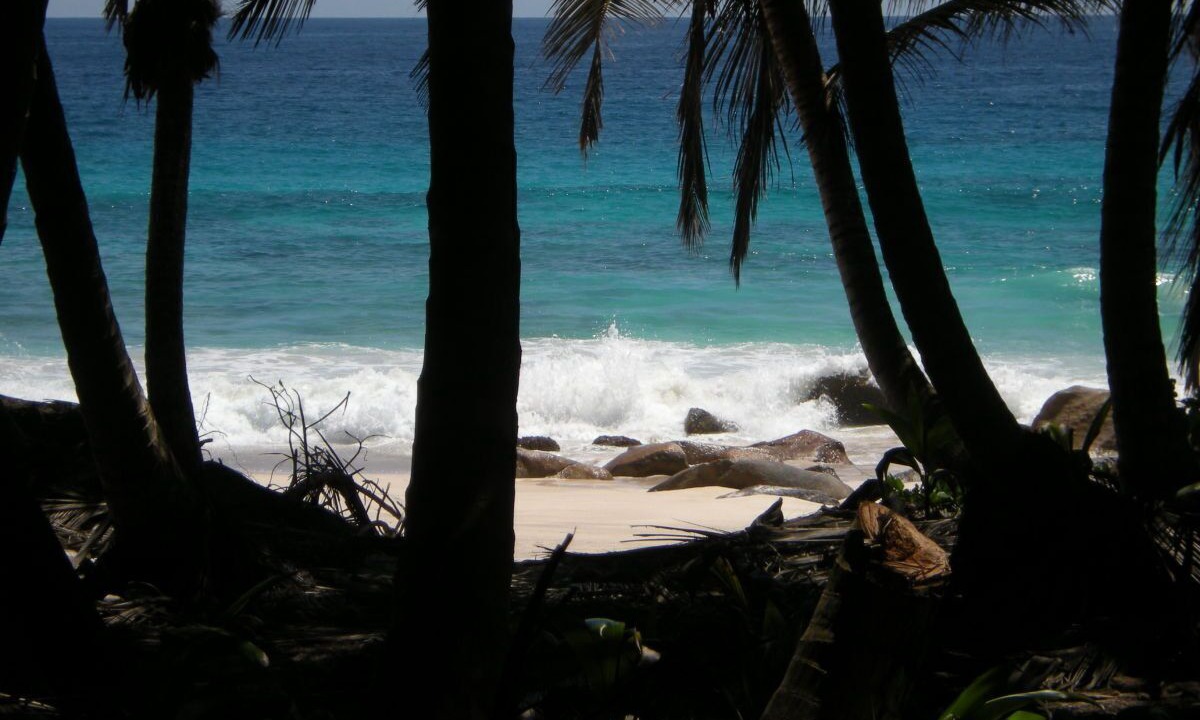 Photo of Others in Anse Boileau