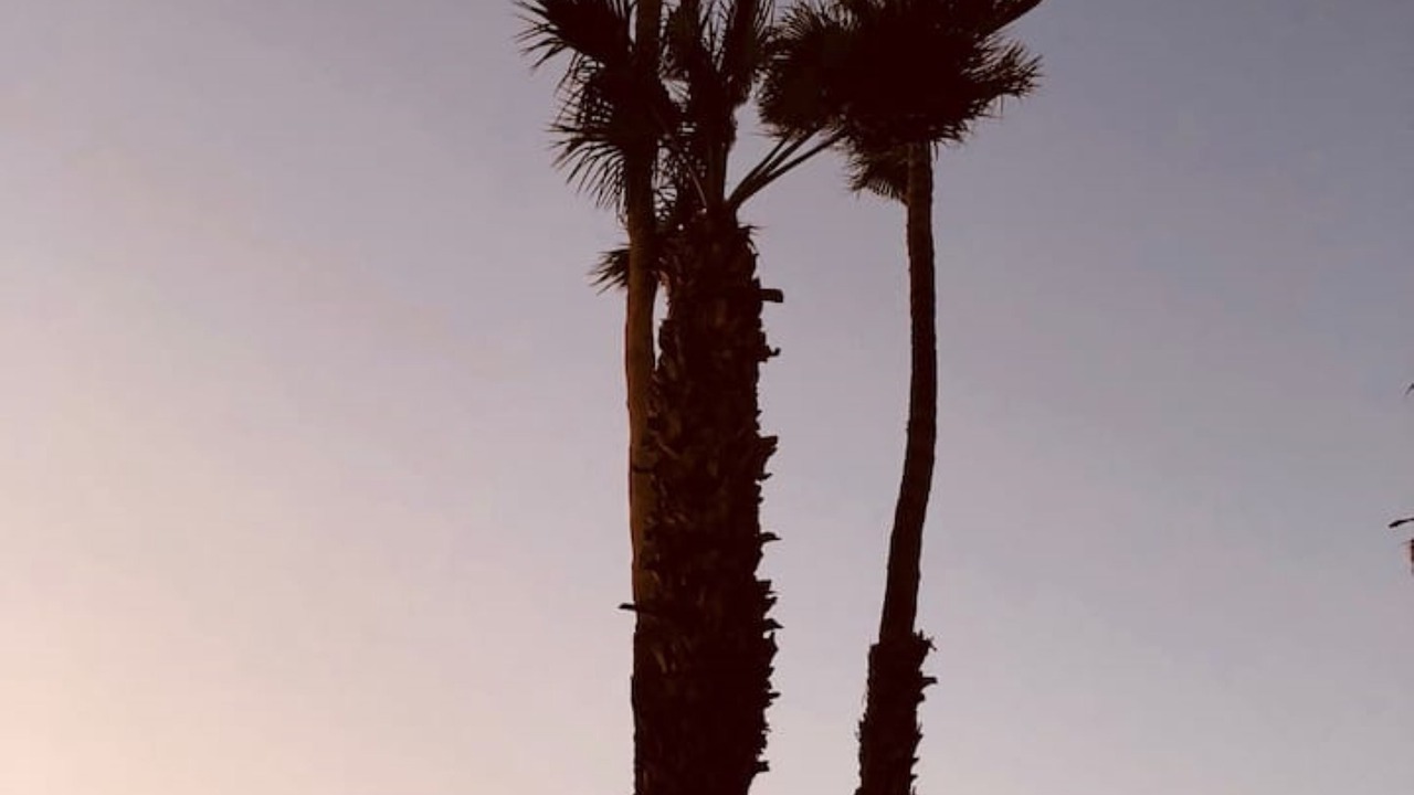 Photo of Others in Desert Park Estates