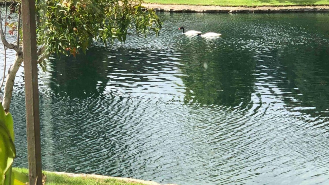 Photo of Outdoor in Santa Ana Heights