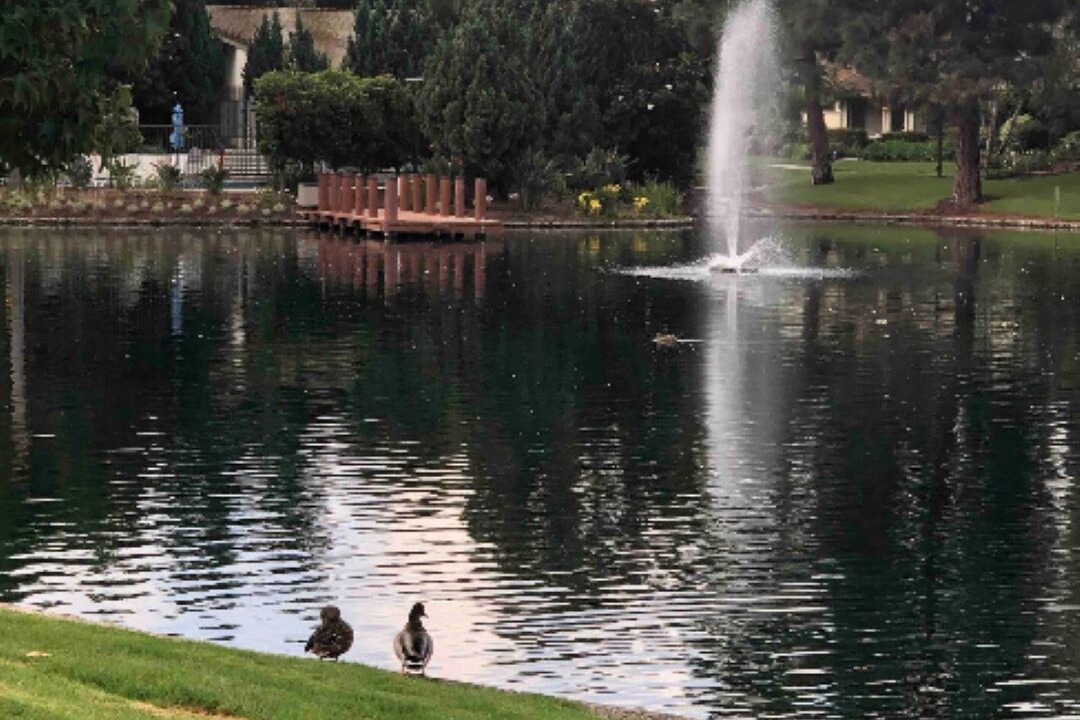 Photo of Outdoor in Santa Ana Heights
