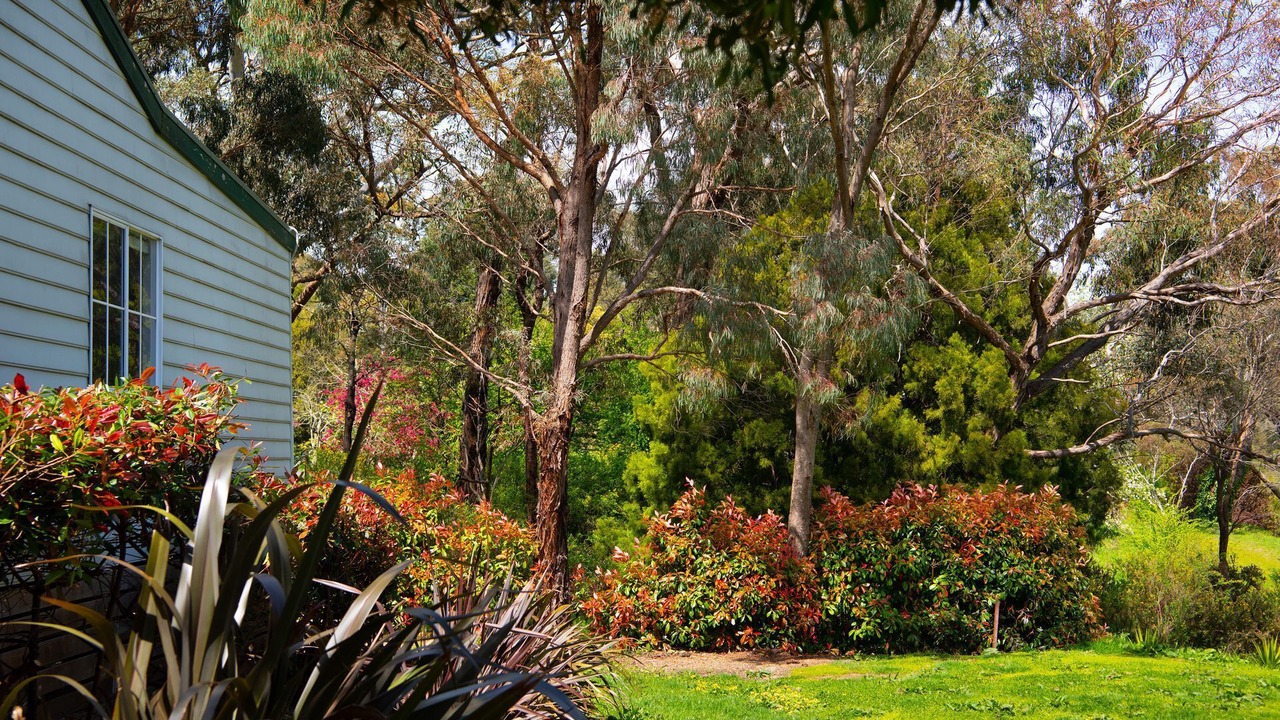 Photo of Outdoor in Hepburn Springs