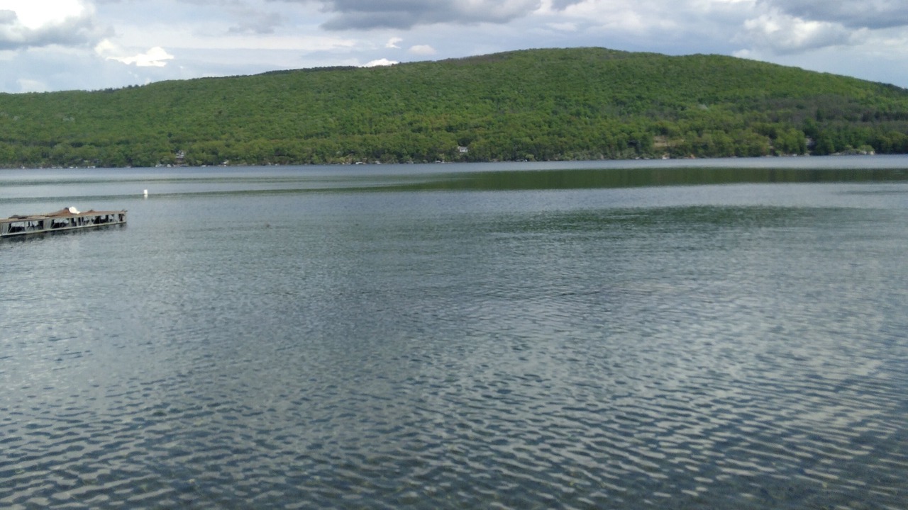 Photo of Others in Canandaigua