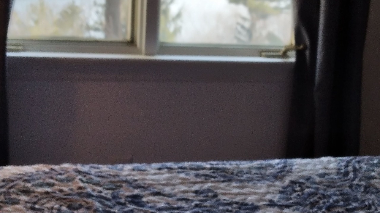 Photo of Bedroom in Canandaigua