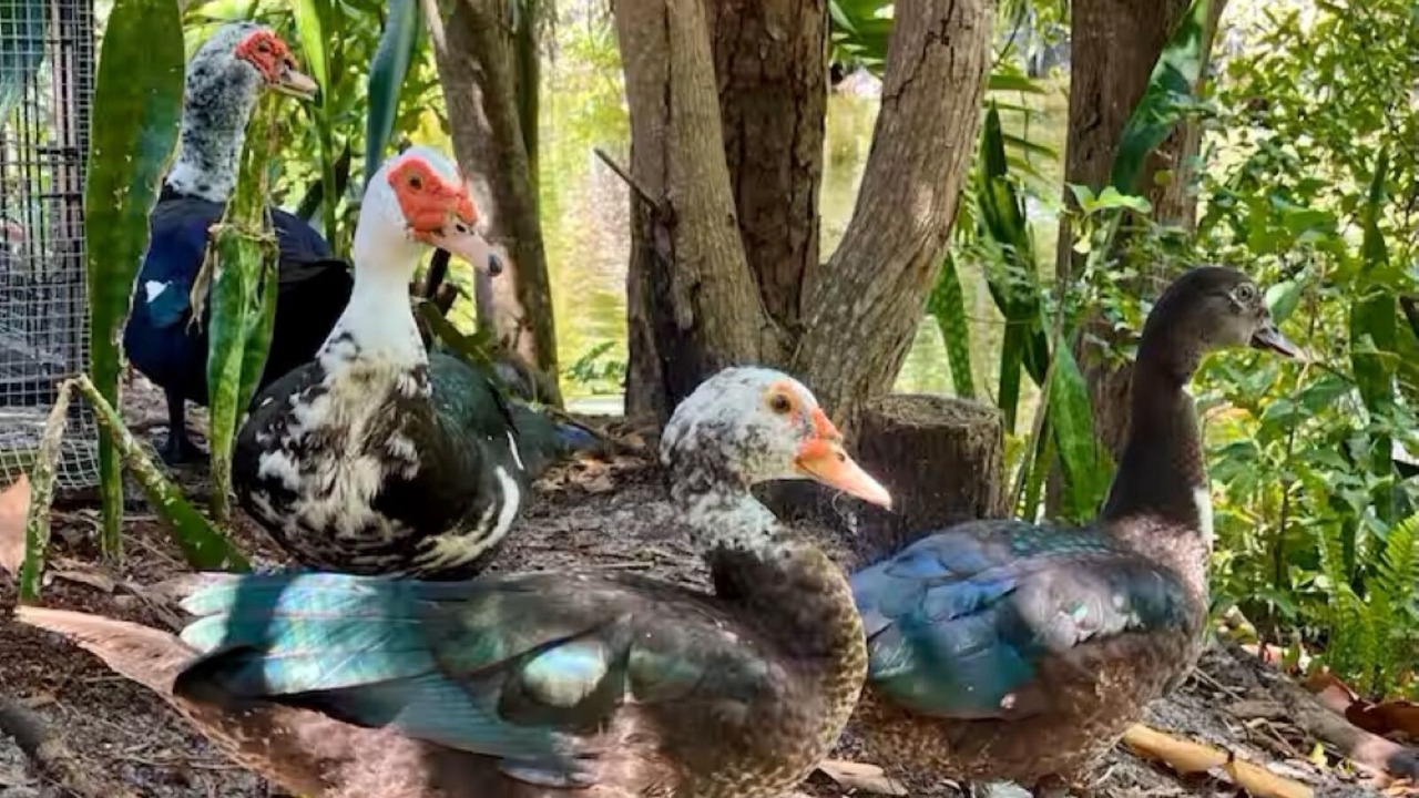 Photo of Others in Lazy Lake