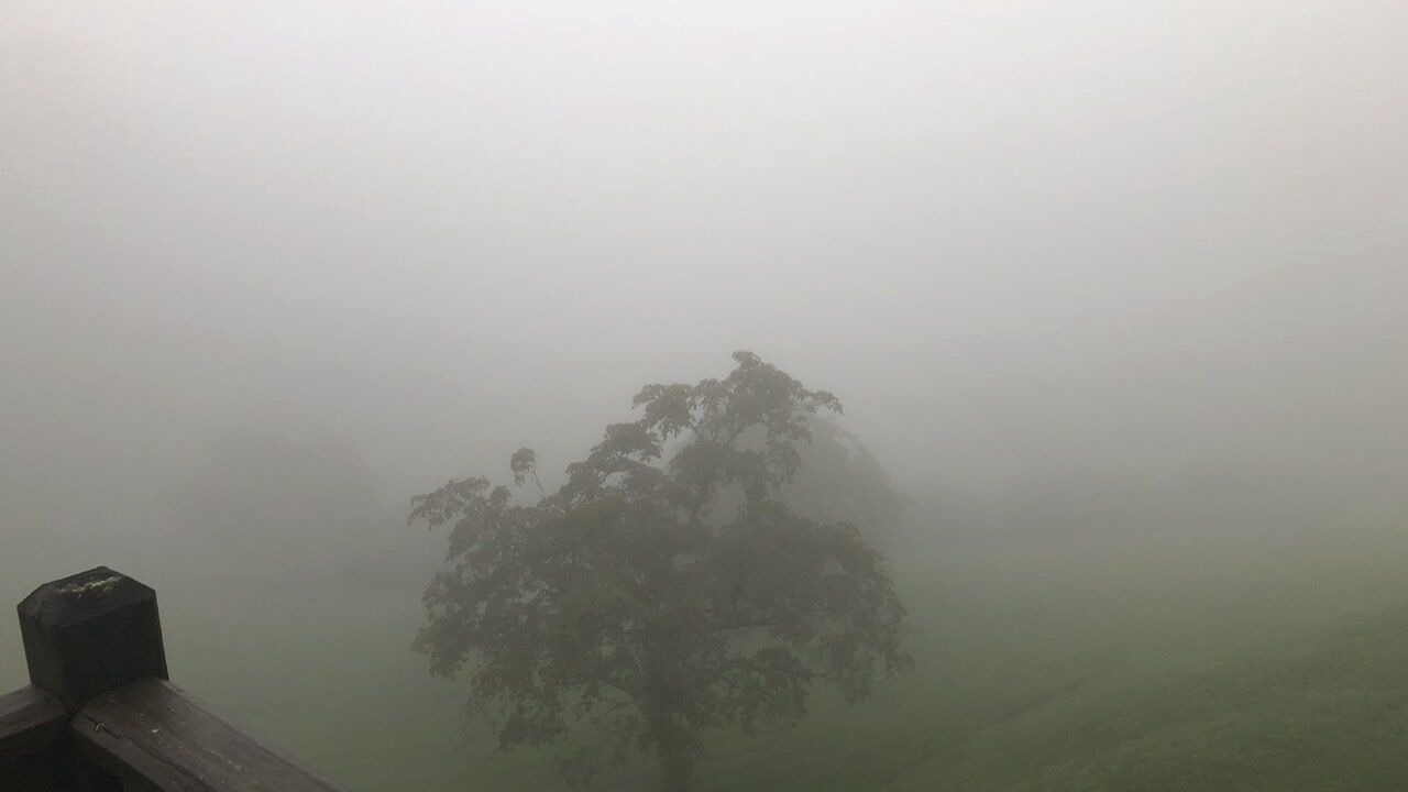 Photo of Outdoor in Dan River