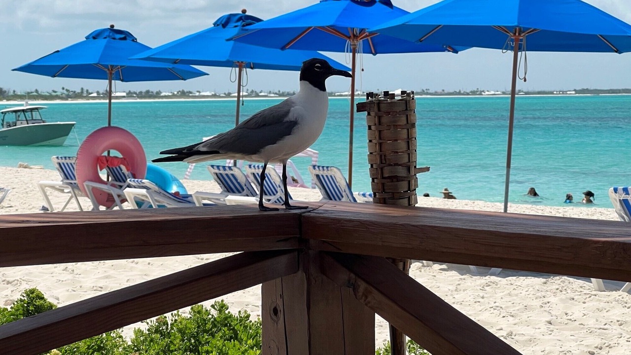 Photo of Others in Treasure Cay