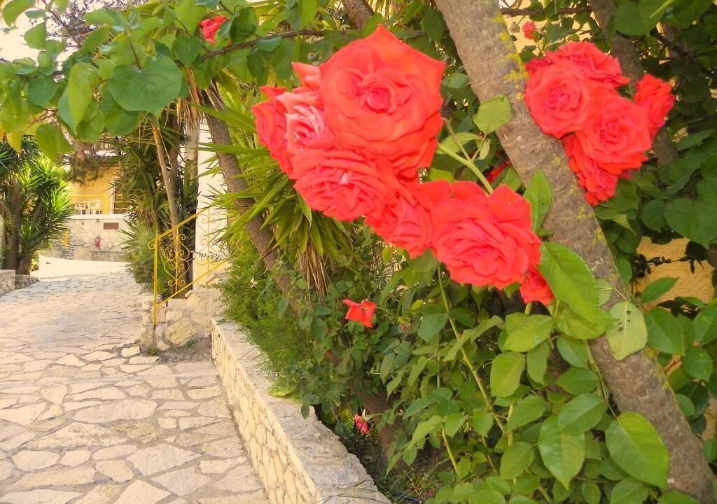 Photo of Outdoor in Argassi
