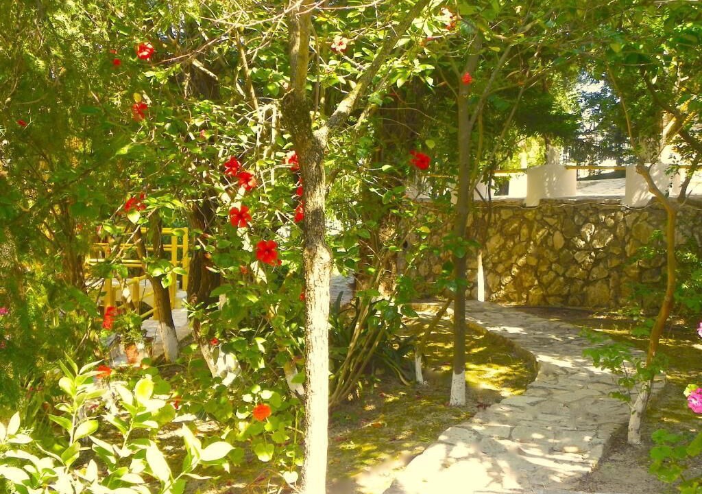 Photo of Outdoor in Argassi