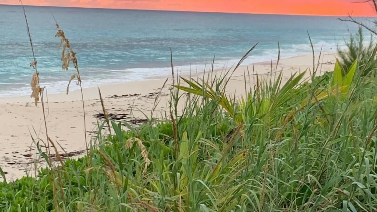 Photo of Others in Great Guana Cay