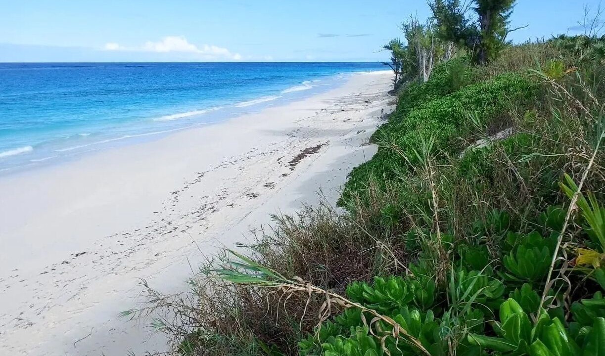 Photo of Others in Great Guana Cay