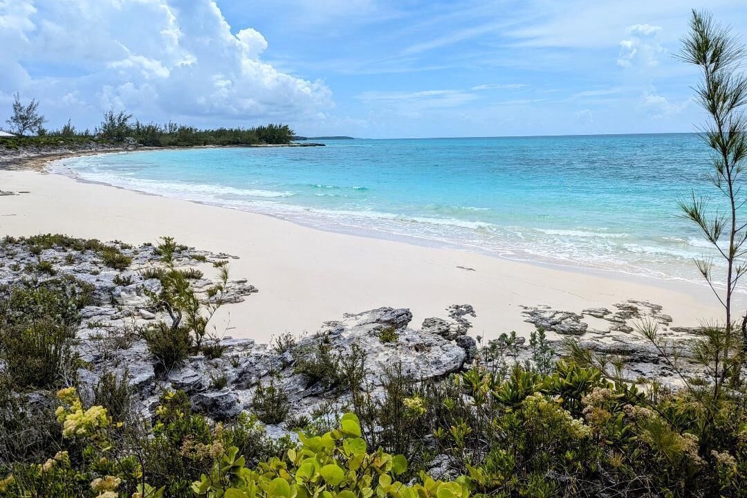 Photo of Others in Pigeon Cay