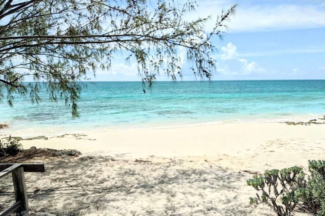 Photo of Others in Pigeon Cay