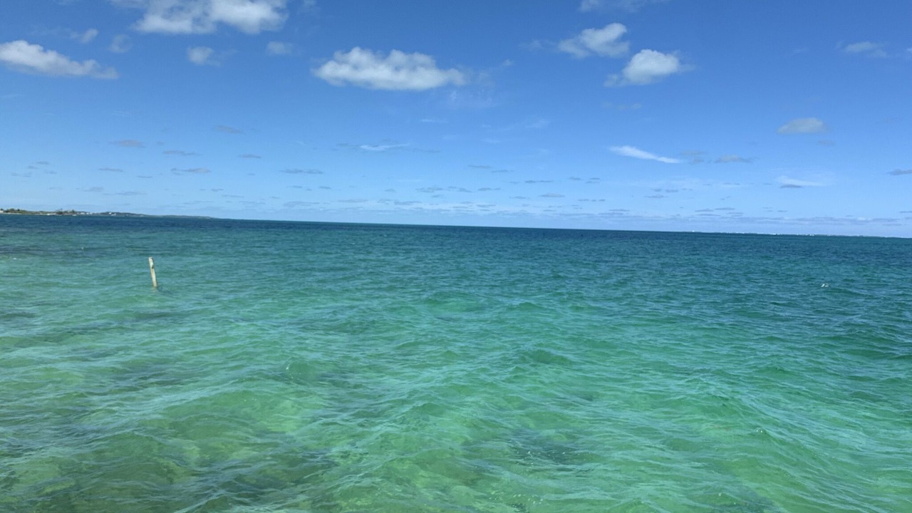 Photo of Others in Lubbers Quarters Cay