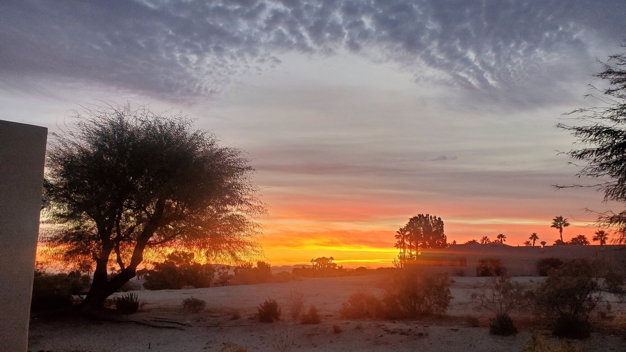 Photo of Others in Borrego Springs