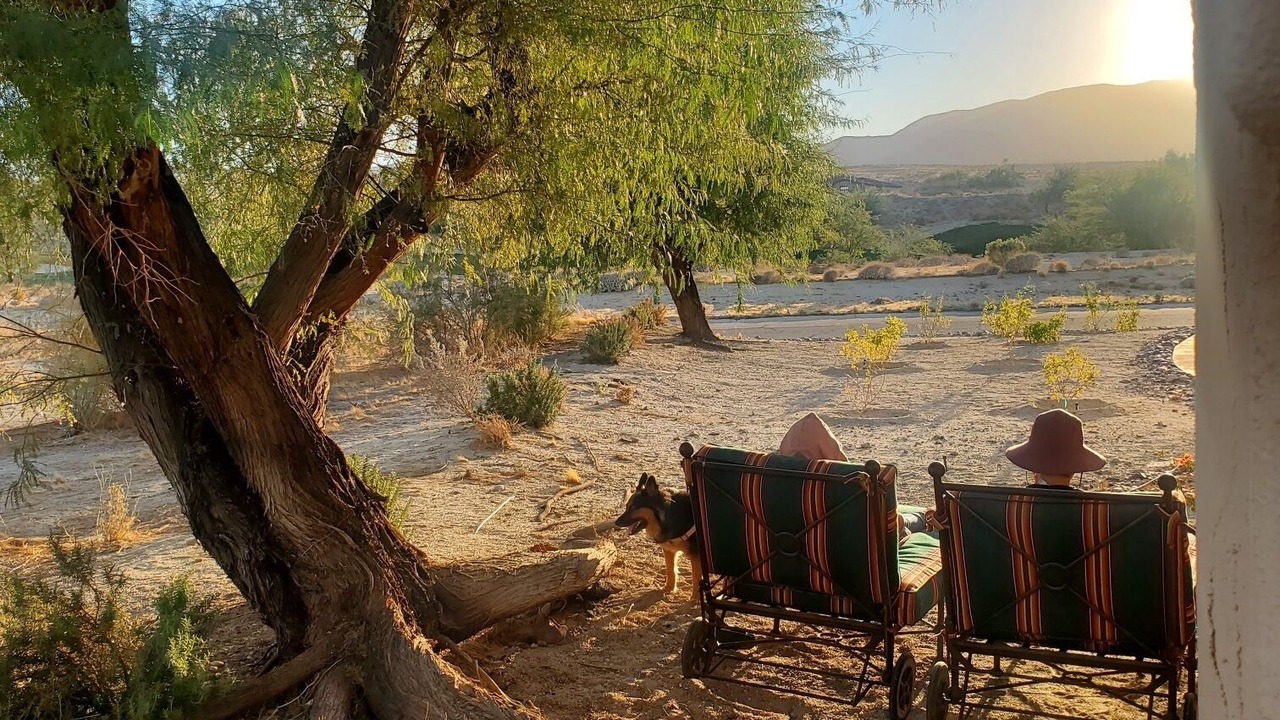 Photo of Outdoor in Borrego Springs