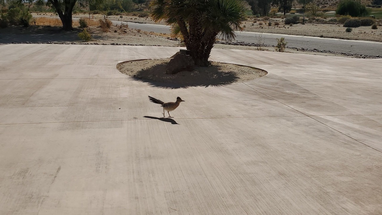 Photo of Others in Borrego Springs