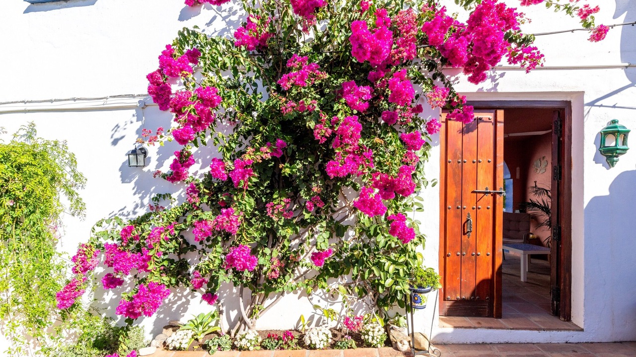 Photo of Outdoor in Moclinejo
