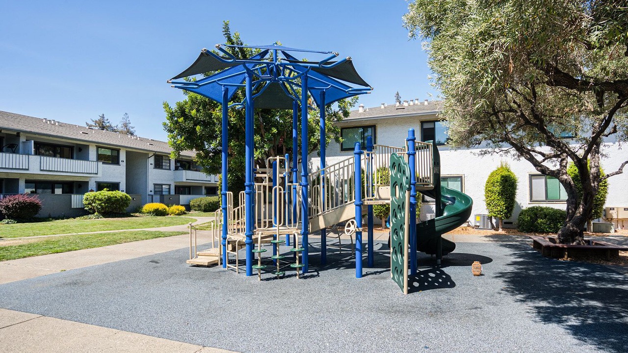 Photo of Others in Cupertino
