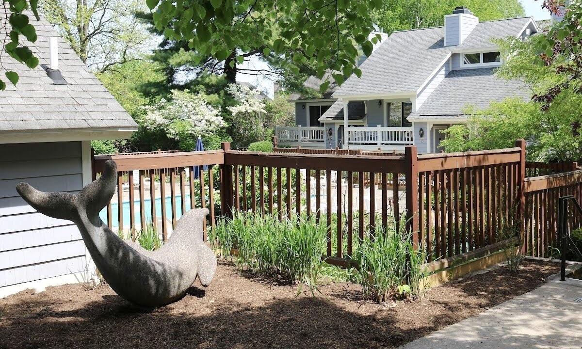 Photo of Outdoor in Chautauqua