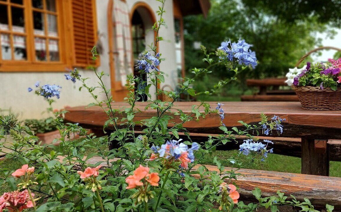 Photo of Outdoor in Szolosgyorok