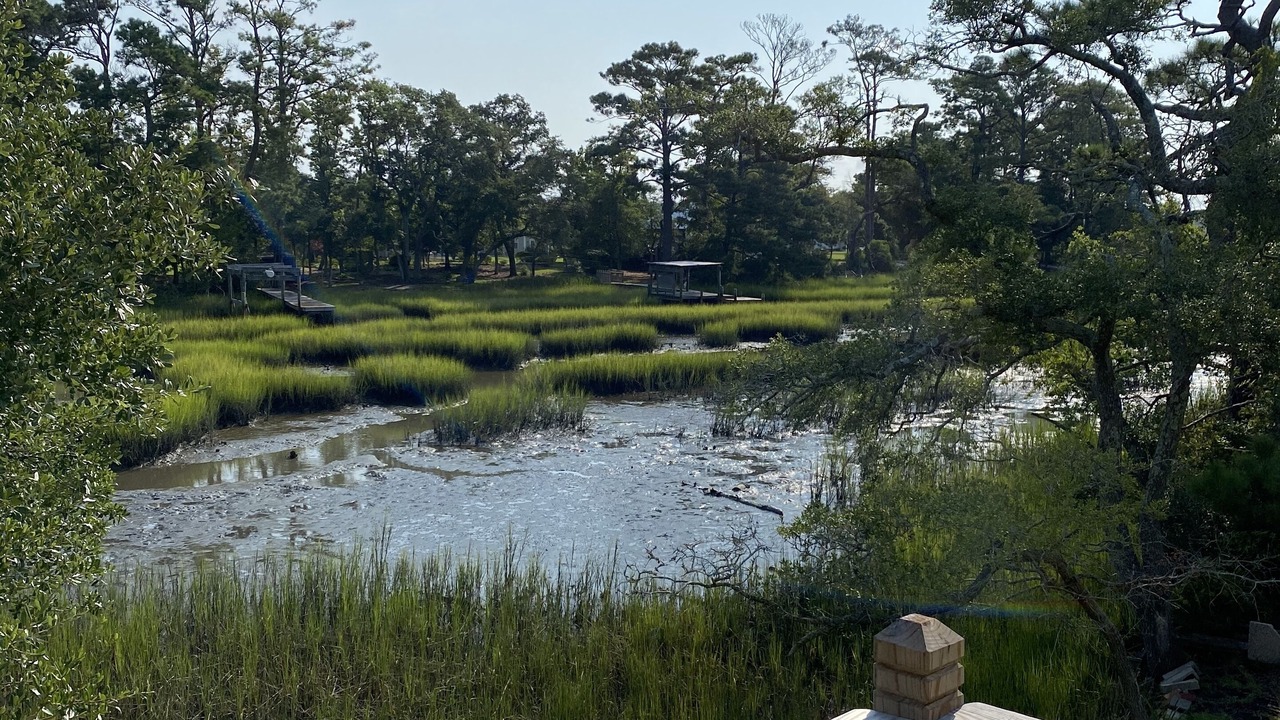 Photo of Others in Morehead City