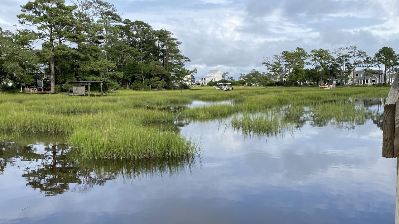 Photo of Others in Morehead City