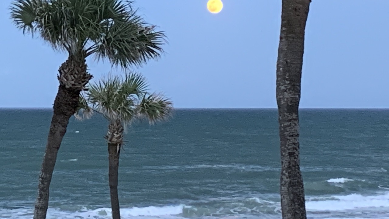 Photo of Others in Ormond Beach