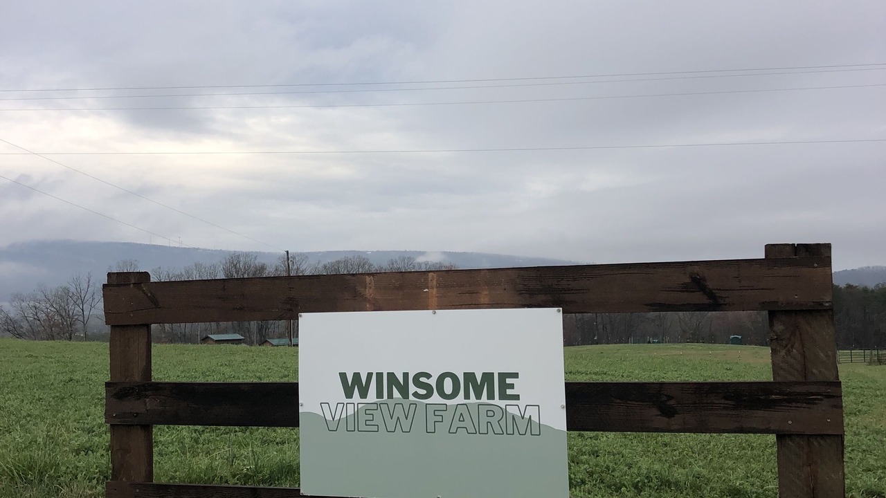Photo of Outdoor in King