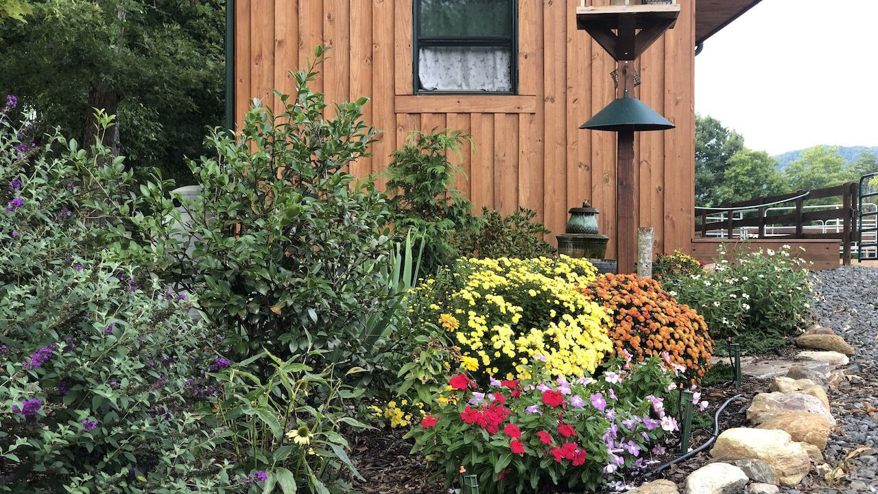 Photo of Outdoor in King