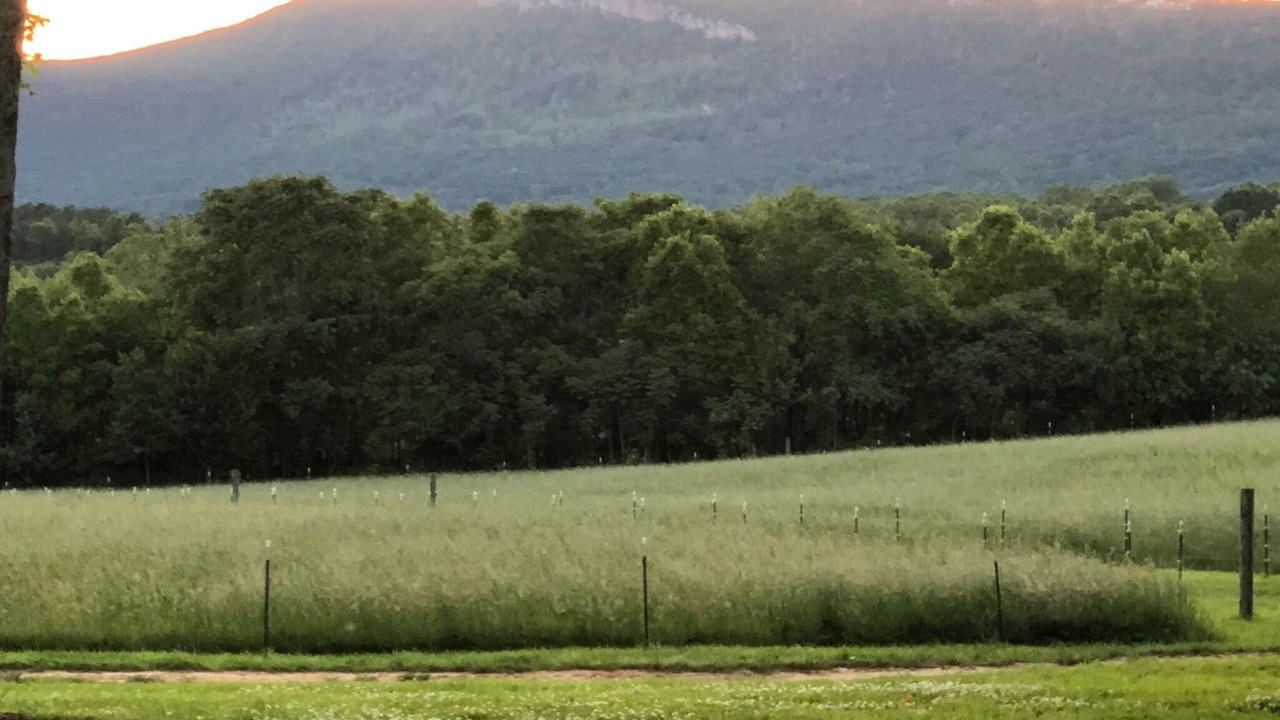 Photo of Outdoor in King
