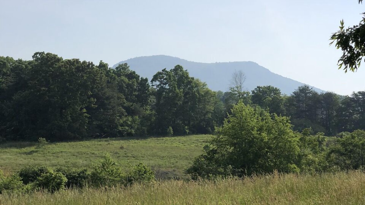 Photo of Outdoor in King