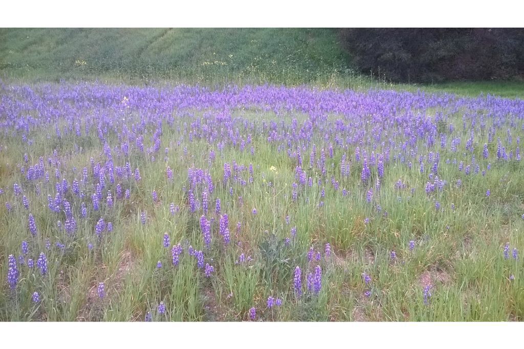 Photo of Others in Malibu Canyon